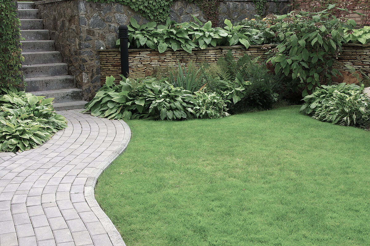 Welcome to Langton's Landscaping